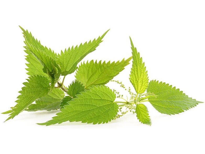 Nettle nas cápsulas de Urosaf